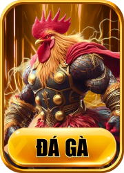 đá gà